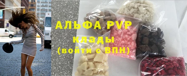 Альфа ПВП Белокуриха